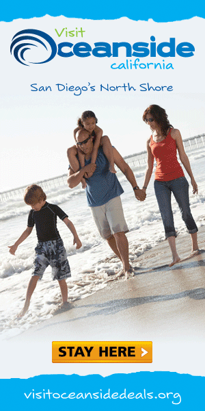 300 x 600 Baner